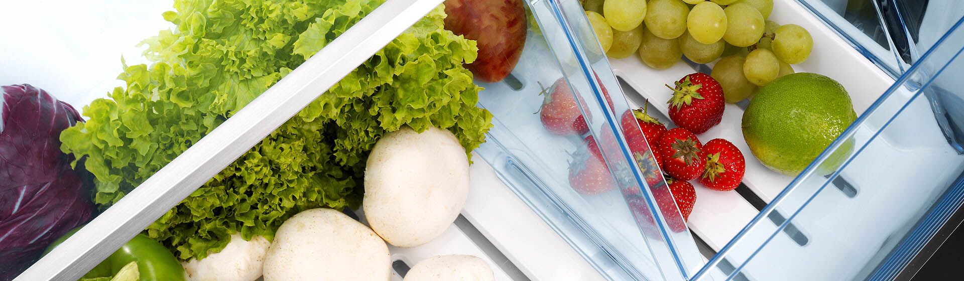 Как долго можно хранить овощи в холодильнике?
